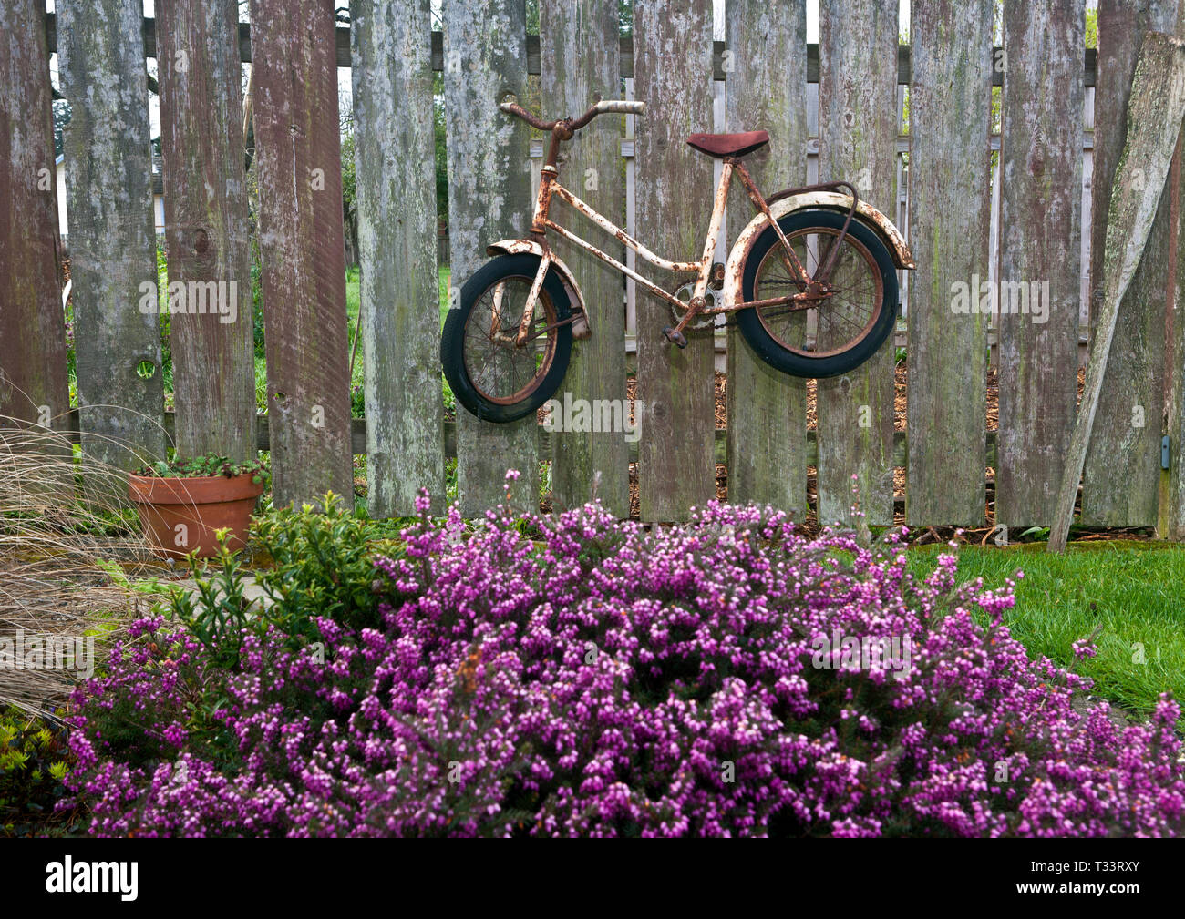 WA06522-00...WASHINGTON - Bicycle on a fence in the town of Eastsound on Orcas Island. Stock Photo