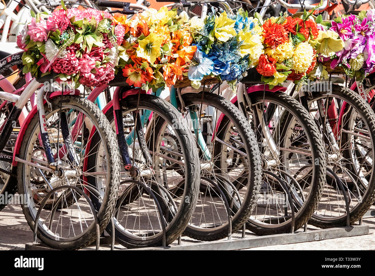 Cartagena Colombia,Center,centre,Getsemani,rental bicycles,decorative flower baskets,wheel,COL190121041 Stock Photo