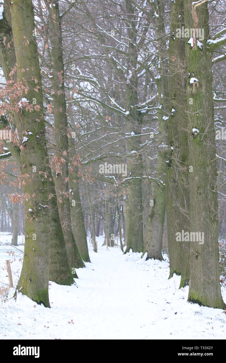 Hernen Castle in the winter Stock Photo