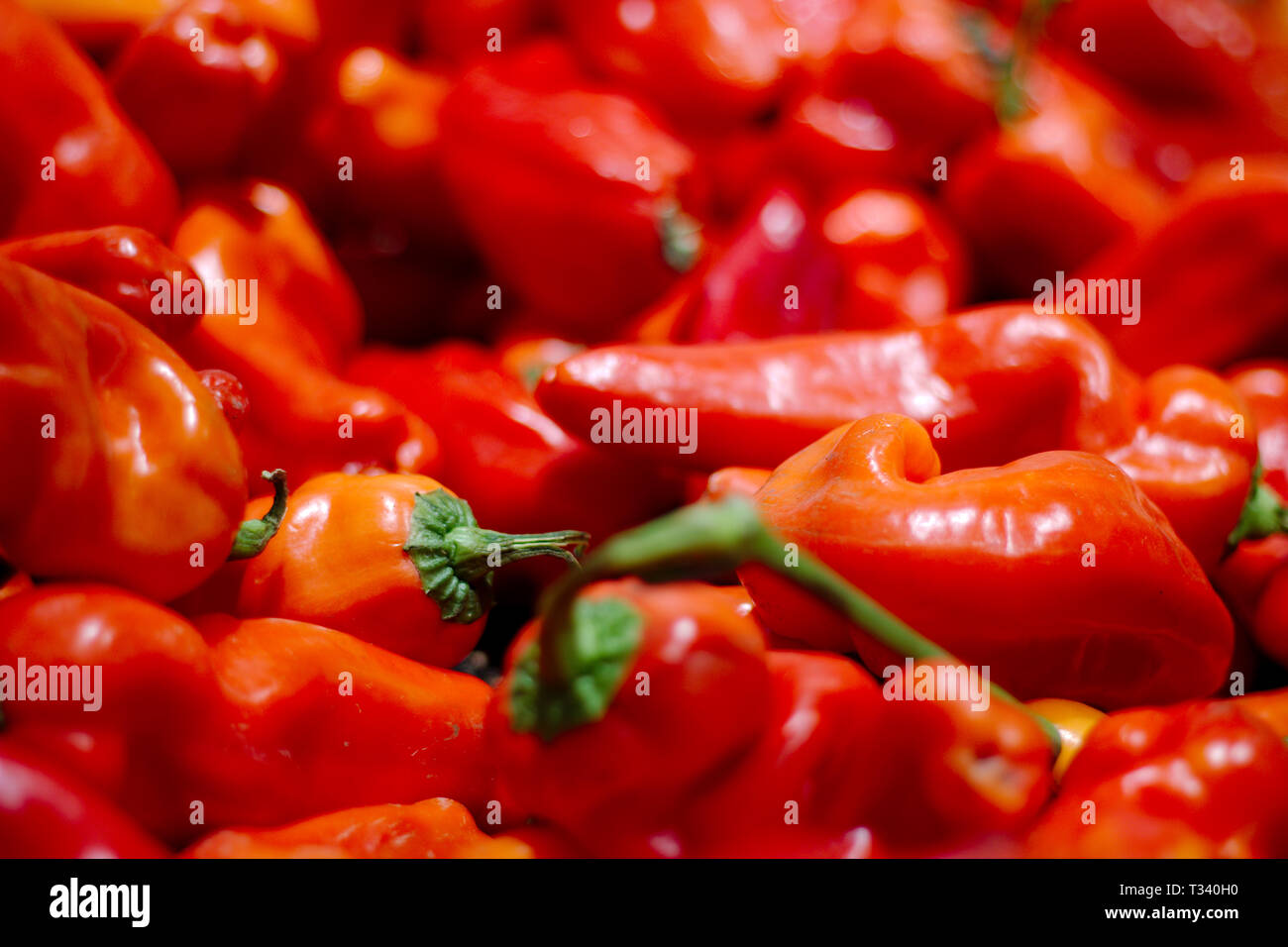 Red chilis at a supermarket. Stock Photo