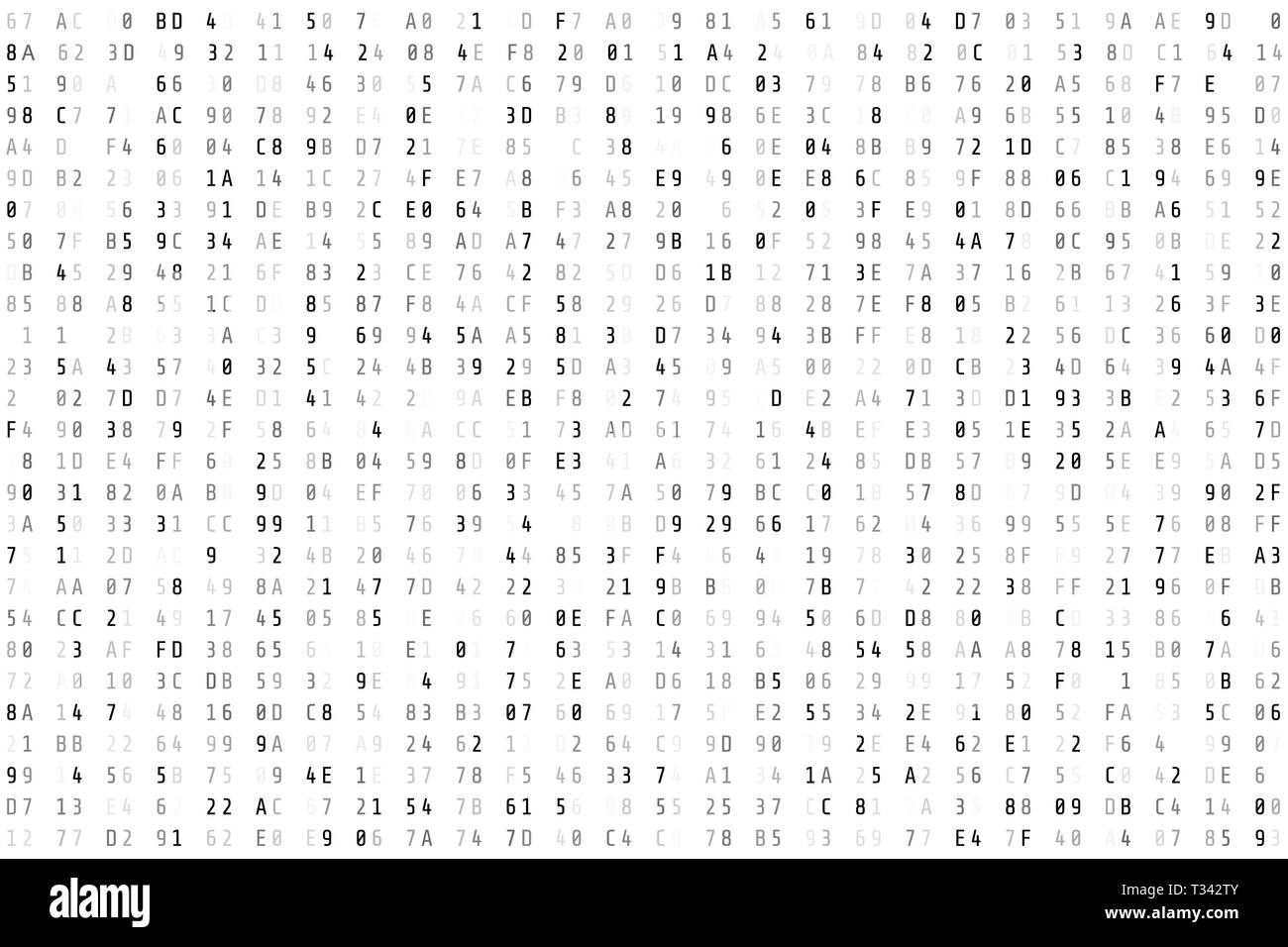 Random  hex code stream. Matrix background. Vector illustration isolated on white background Stock Vector