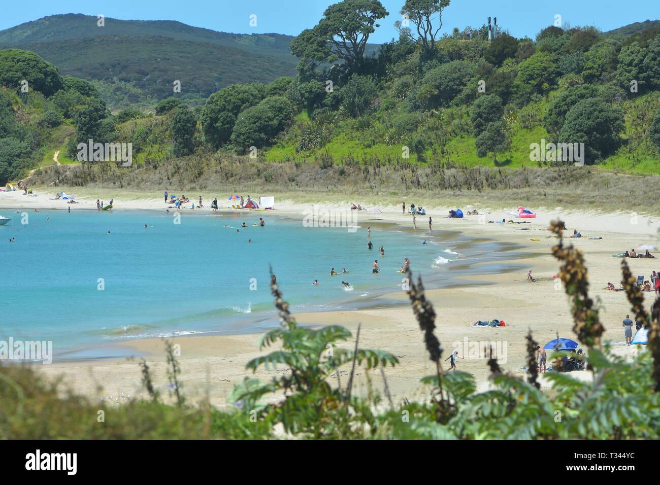 People enjoying summer holidays on popular New Zealand camping spot of Maitai Bay in Northland. Stock Photo