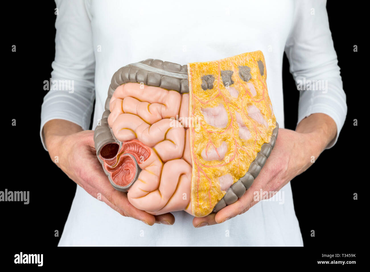 Female person holds human intestines model at body isolated on black background Stock Photo