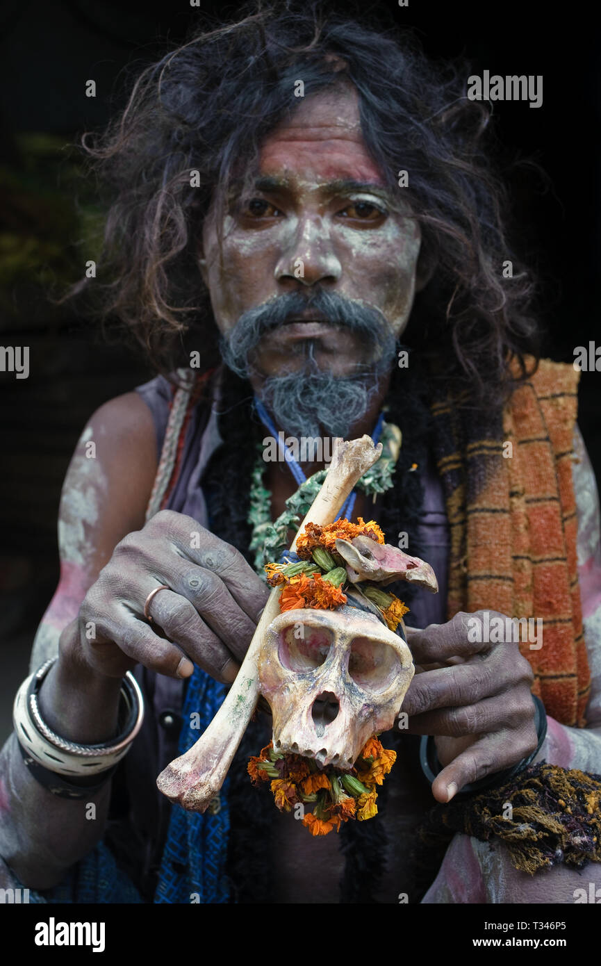 Hindu ascetic ('sadhu') belonging to the Aghori sect ( India). He is showing a monkey skull. Stock Photo