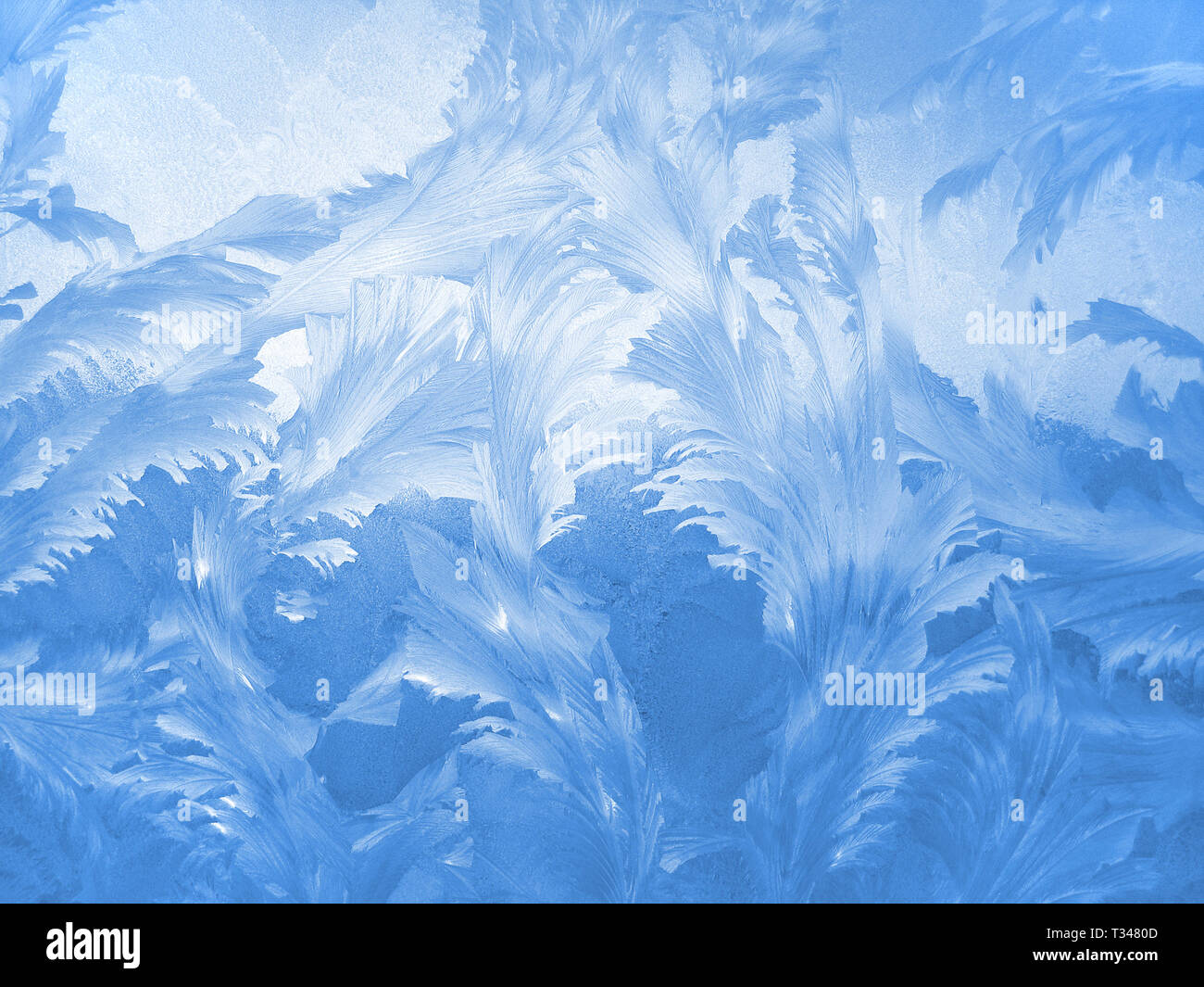 frosty natural pattern on winter window Stock Photo - Alamy
