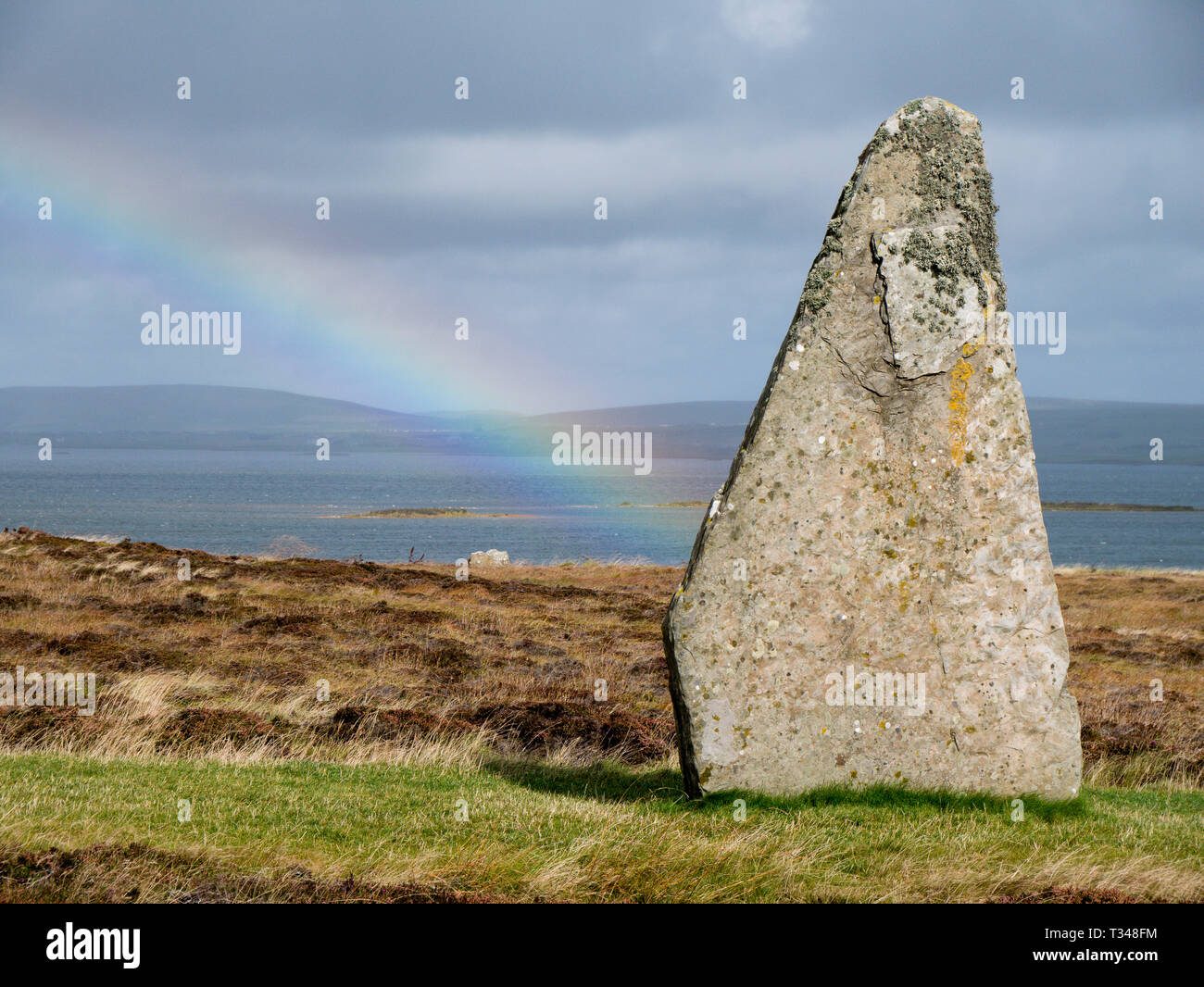 Standing stone in the Ring of Brodgar in Orkney, Scotland, UK Stock Photo