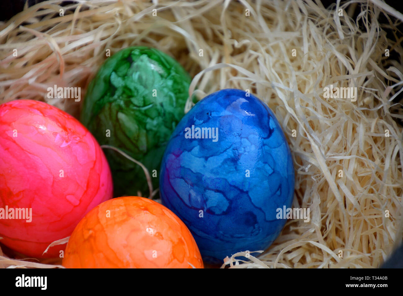 happy easter theme with colored eggs, easter basket filled with white straw and colored cooked eggs as easter background Stock Photo