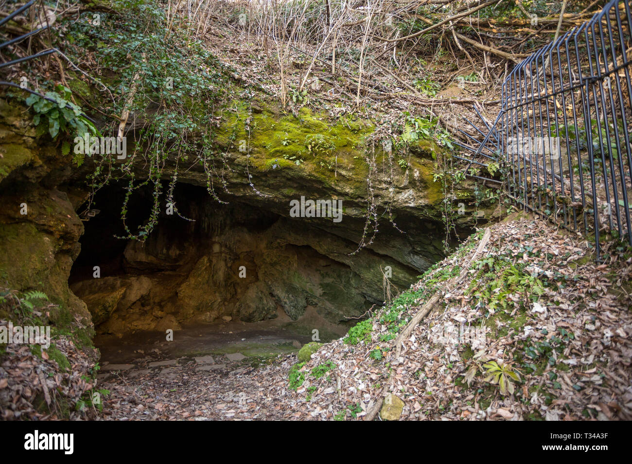 A view of the entrance to Veternica cave in the Medvednica nature park ...