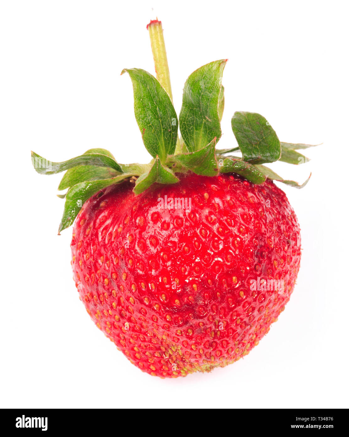 one raw red Strawberry Stock Photo - Alamy
