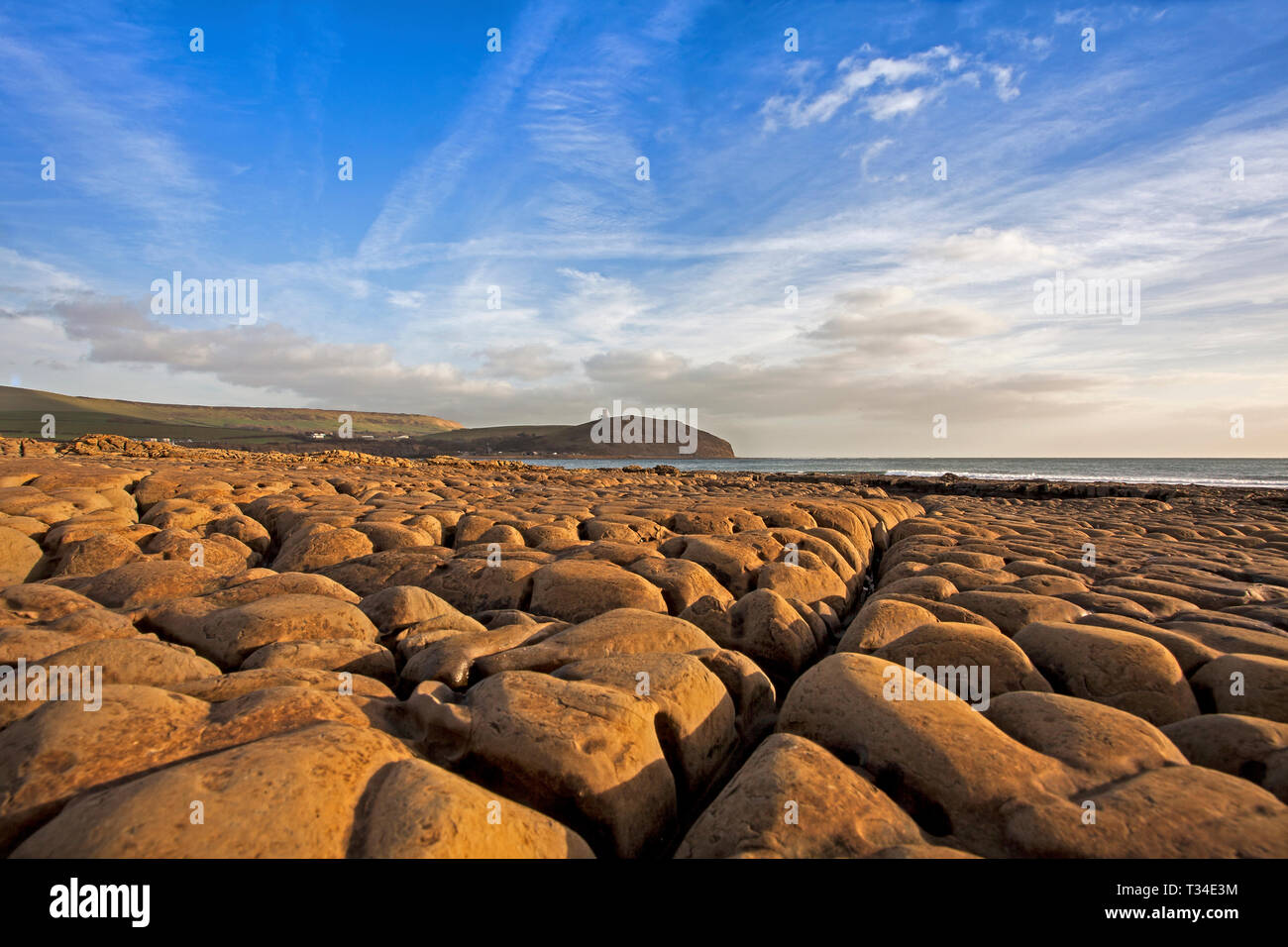 Natural surface of coastal rocks at Kimmeridge Bay in Dorset UK. Clavel Tower is in the background. Stock Photo