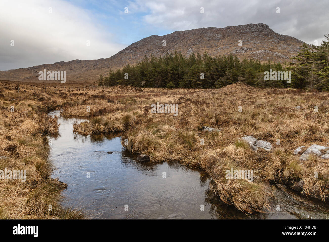 Conemara lake and forest with mountains in background, Maam Cross, Galway, Ireland Stock Photo