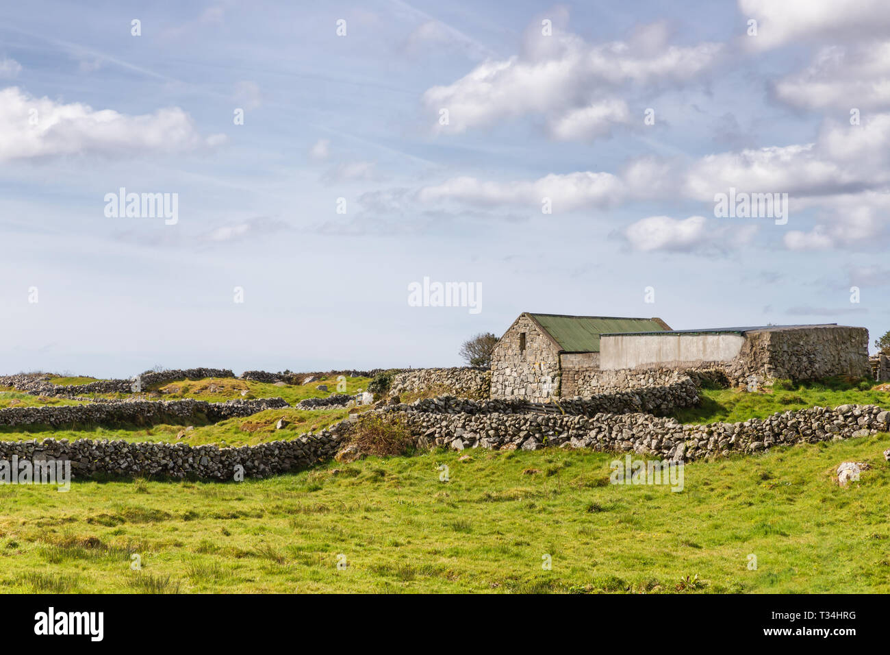 Farm house and field with typical stone wall around, Spiddal, Galway, Ireland Stock Photo