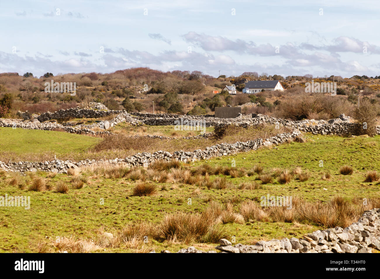 Farm house and field with typical stone wall around, Spiddal, Galway, Ireland Stock Photo