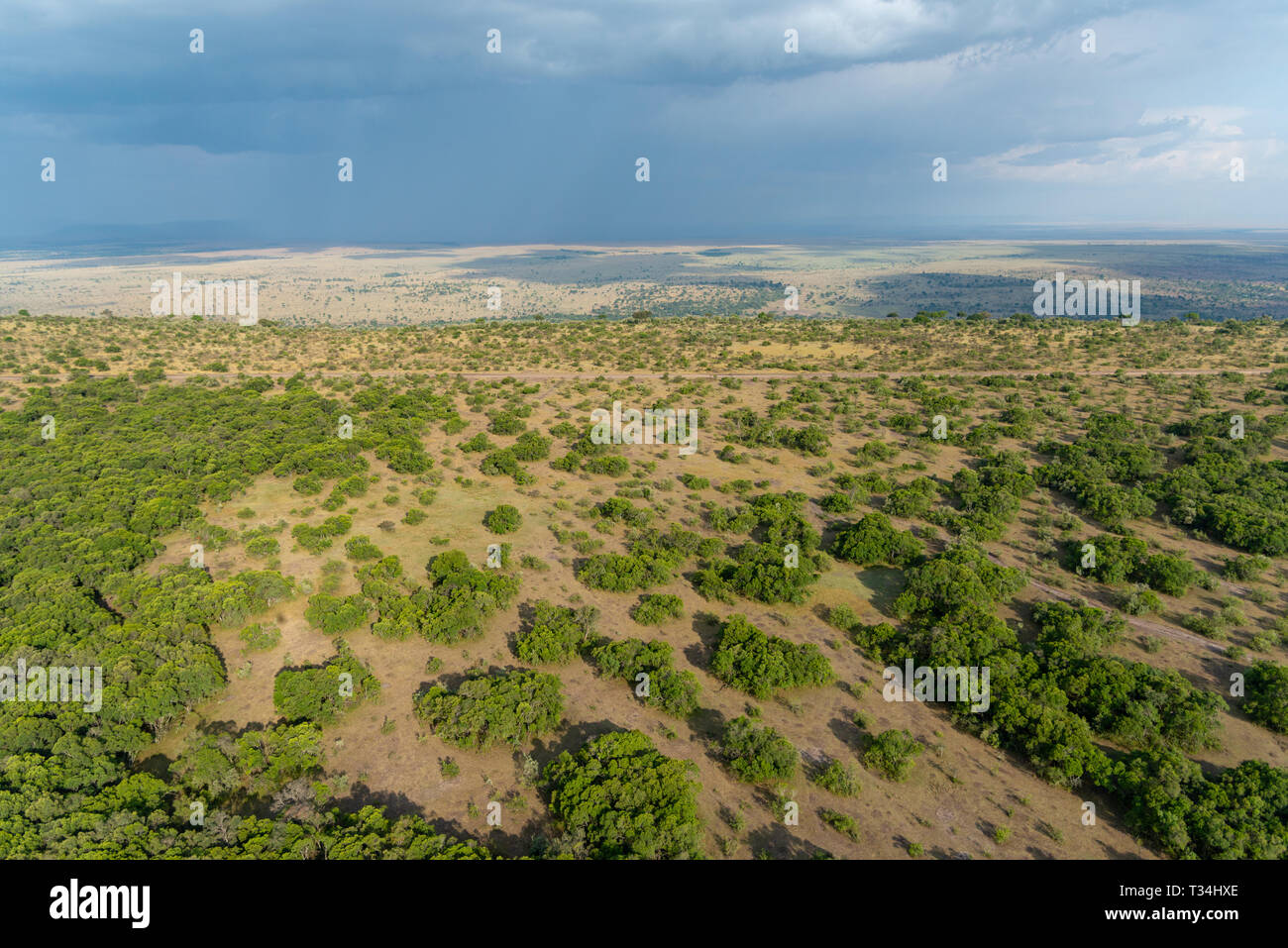 Aerial view of Masai Mara National reserve, Kenya Stock Photo