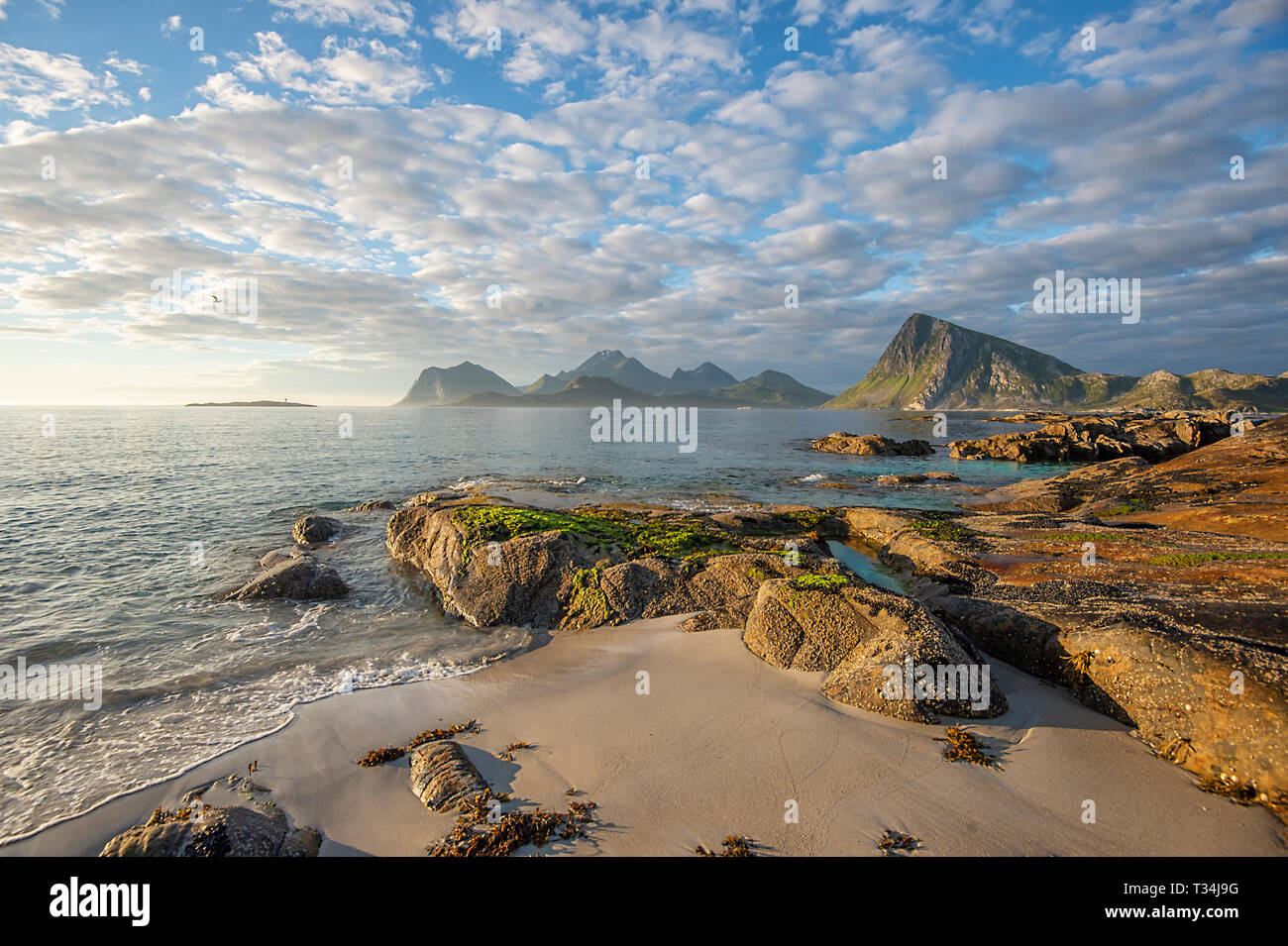 Beach landscape, Sandnes, Flakstad, Lofoten, Nordland, Norway Stock Photo