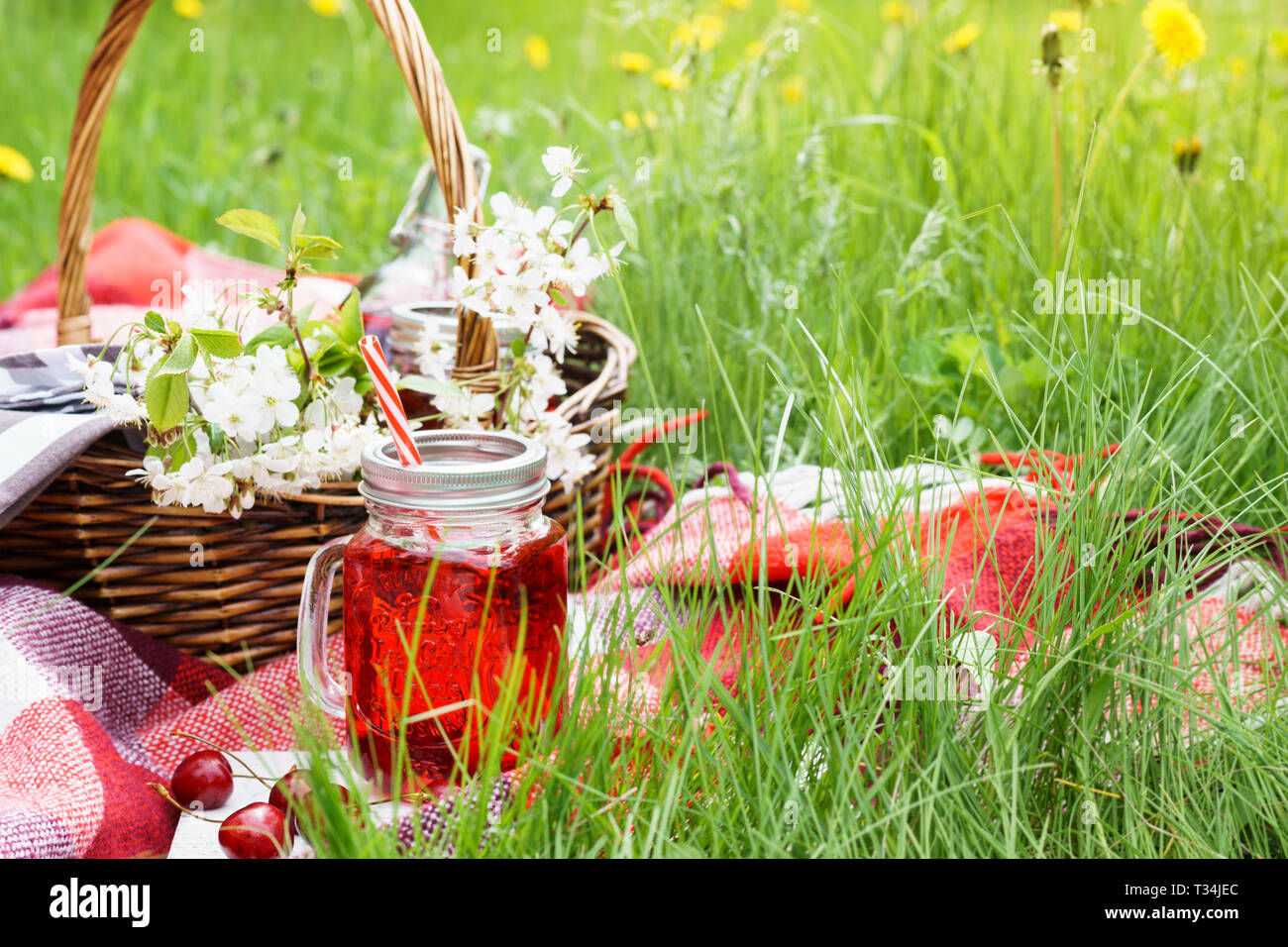 Cherry juice in a jar and wicker picnic basket with food on red blanket. Summer picnic on grass in a park. Stock Photo