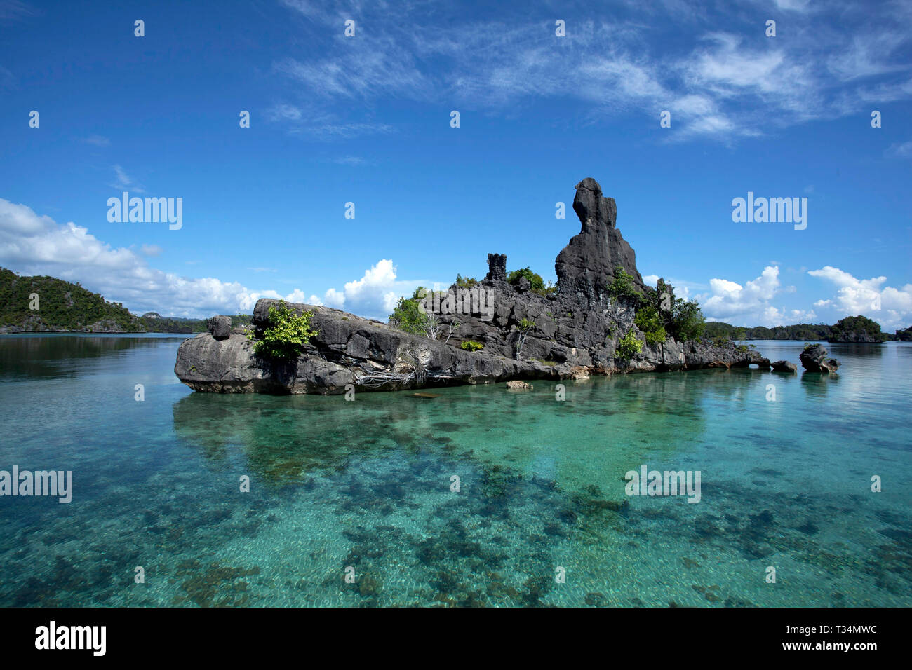 Rocky island in ocean, Raja Ampat Papua, West Papua, Indonesia Stock Photo