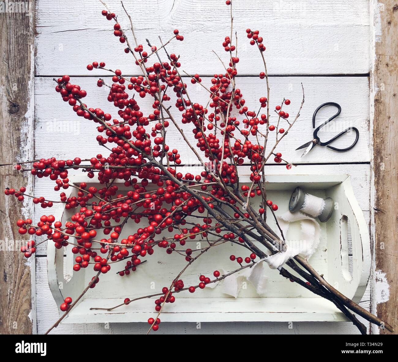 Red winterberry branches on a tray with ribbon and scissors Stock Photo