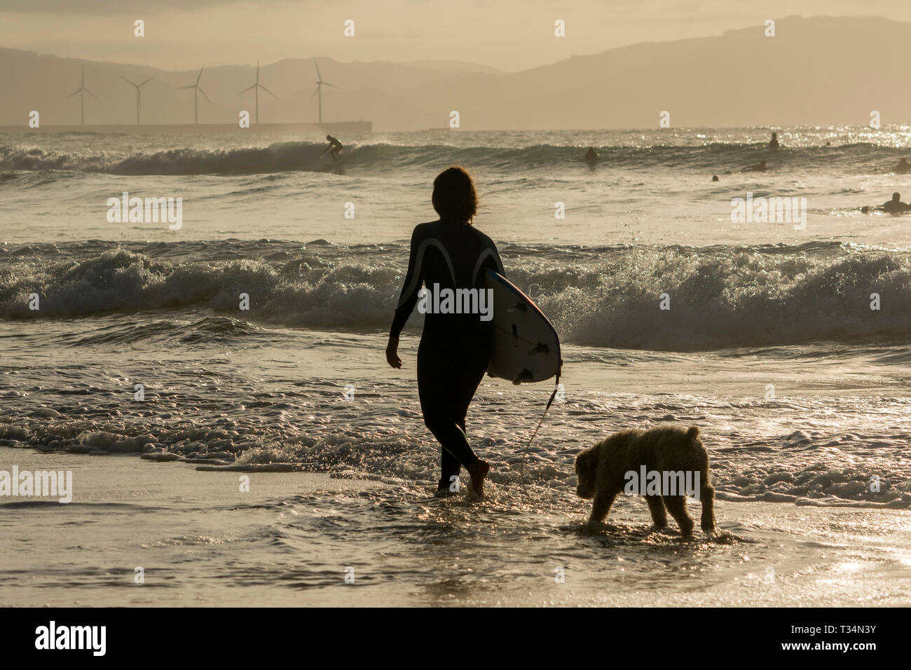 Silhouette of a female surfer walking in the surf with her dog, Bilbao, Spain Stock Photo
