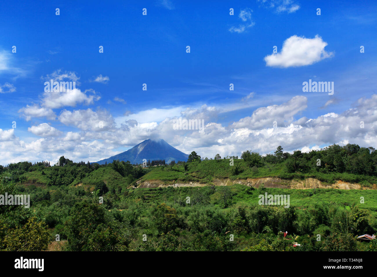 Rural landscape, Simalam, North Sumatra, Indonesia Stock Photo