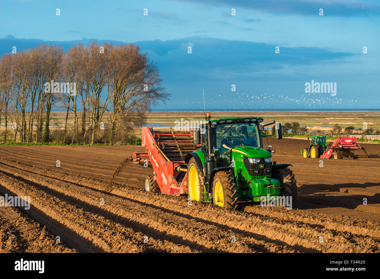 Tractors carrying out deep bed shaping followed by sowing the fields in early springs time at Burnham Overy in North Norfolk, East Anglia, England, UK Stock Photo