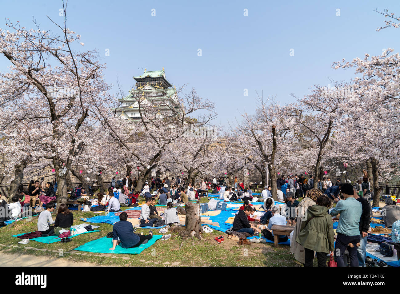 People sitting and having picnics, on blue and green sheets, under