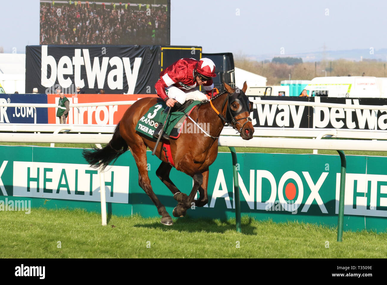AINTREE, Liverpool, UK. Apr, 2019. Tiger Roll winner of the 2019 Randox Grand National ridden by D N Russell. He becomes the first horse to since Red Rum 45 years ago to win the hurdles event race back-to-back. 40 runners, 30 fences and more than four-and-a-quarter miles, the National is the ultimate test for horses and riders. Stock Photo
