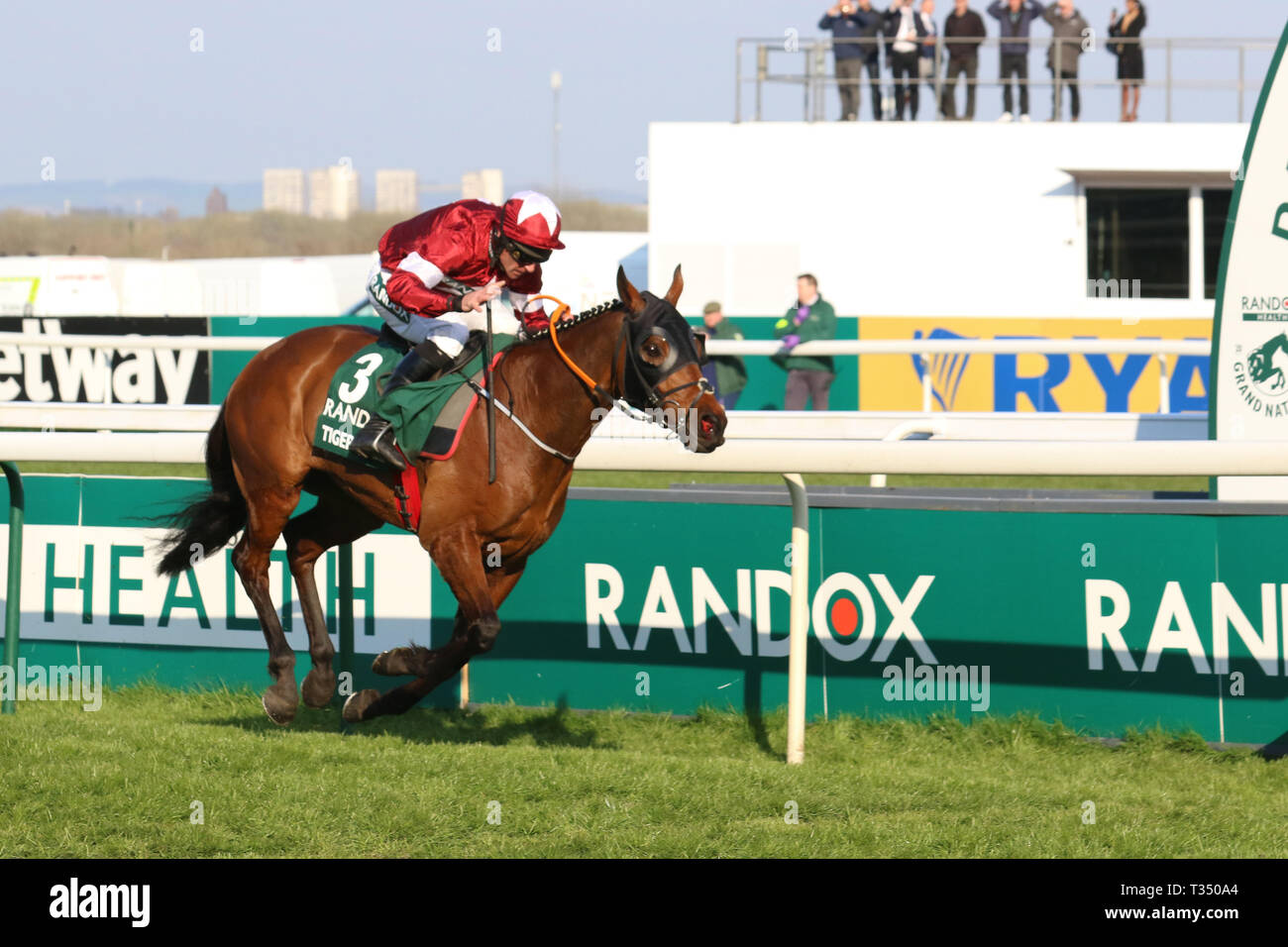 AINTREE, Liverpool, UK. 6th Apr, 2019. Tiger Roll winner of the 2019 Randox Grand National ridden by D N Russell. He becomes the first horse to since Red Rum 45 years ago to win the event race back-to-back. 40 runners, 30 fences and more than four-and-a-quarter miles, the National is the ultimate test for horses and riders. Stock Photo