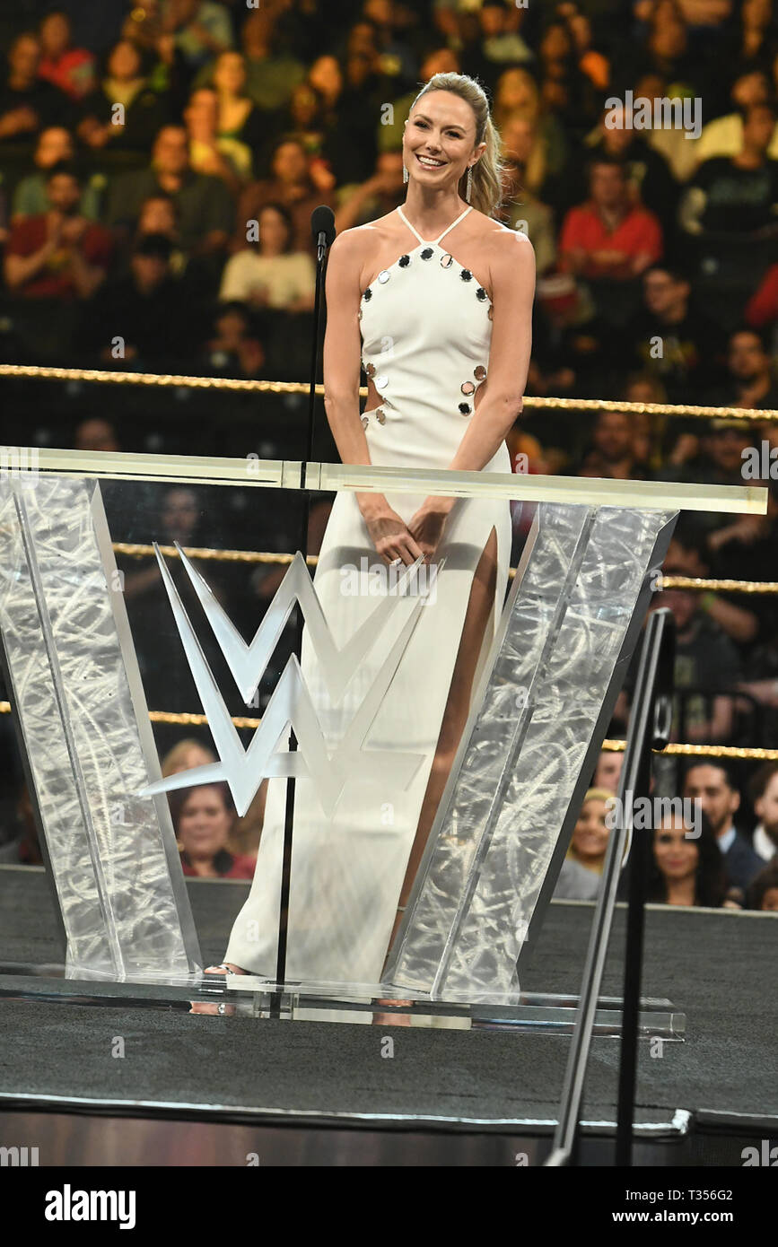 New York, USA. 6th Apr, 2019. Stacy Keibler at the 2019 WWE Hall Of