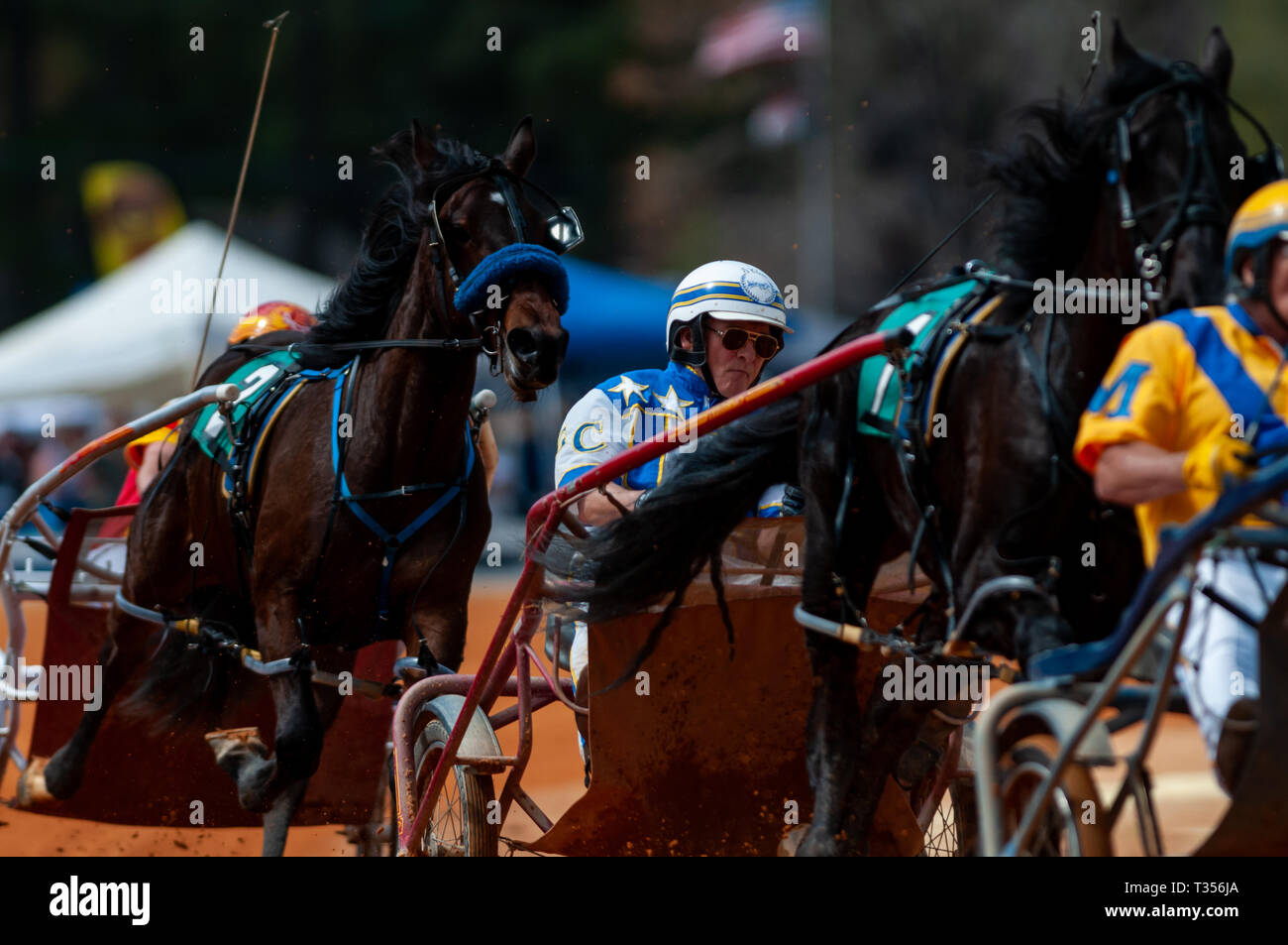 Pinehurst, North Carolina, USA. 3rd Apr, 2019. April 6, 2019 - Pinehurst, N.C., USA - It was close-quarters racing through turn one in the fourth race during the 70th annual Spring Matinee Harness races sponsored by the Pinehurst Driving & Training Club, at the Pinehurst Harness Track, Pinehurst, North Carolina. This year's races commemorate the 104th anniversary of the track. Credit: Timothy L. Hale/ZUMA Wire/Alamy Live News Stock Photo