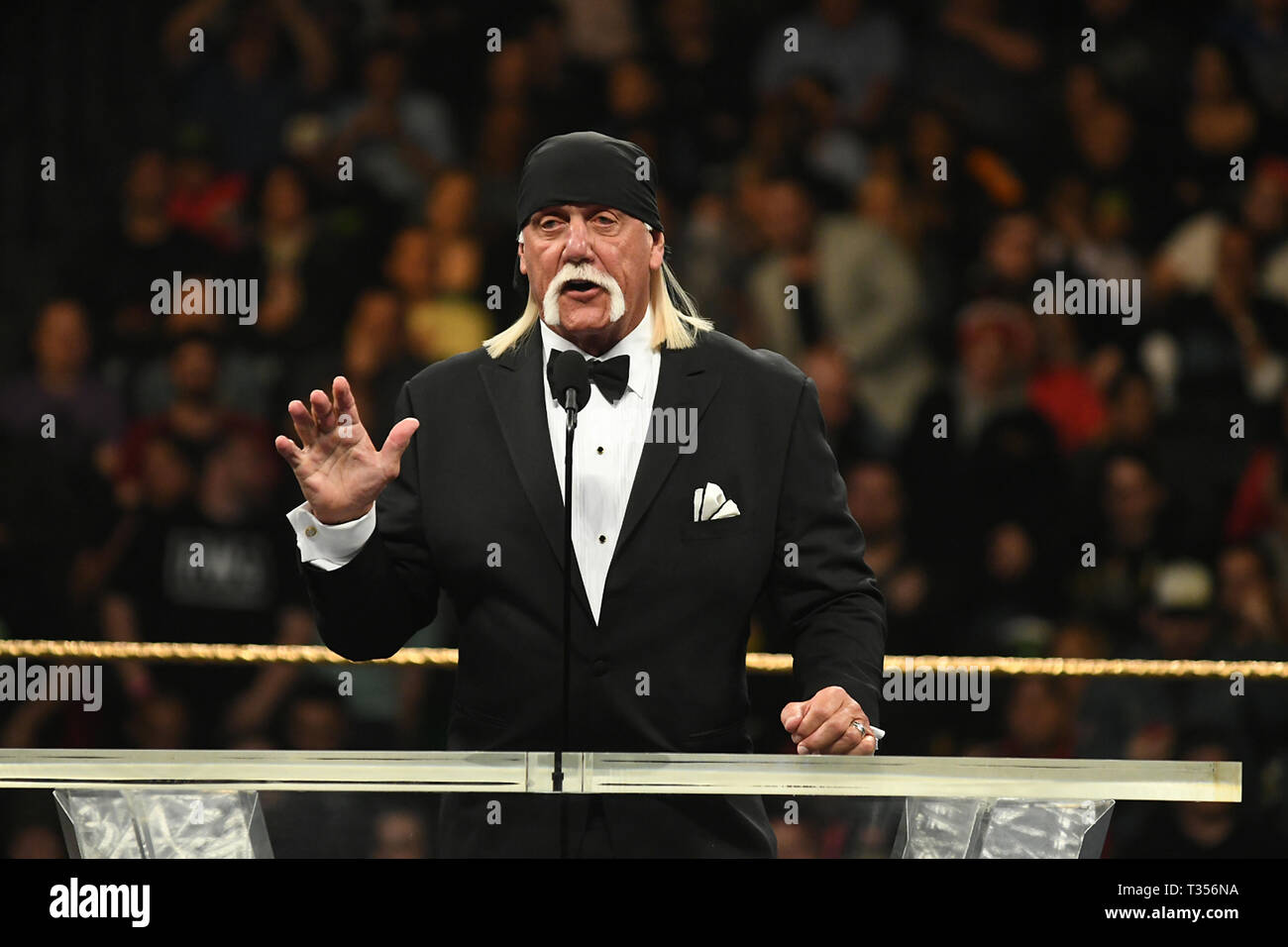 New York, USA. 6th Apr, 2019. Hulk Hogan at the 2019 WWE Hall Of Fame Ceremony at the Barclay's Center in Brooklyn, New York City on April 6, 2019. Credit: George Napolitano/Media Punch/Alamy Live News Stock Photo