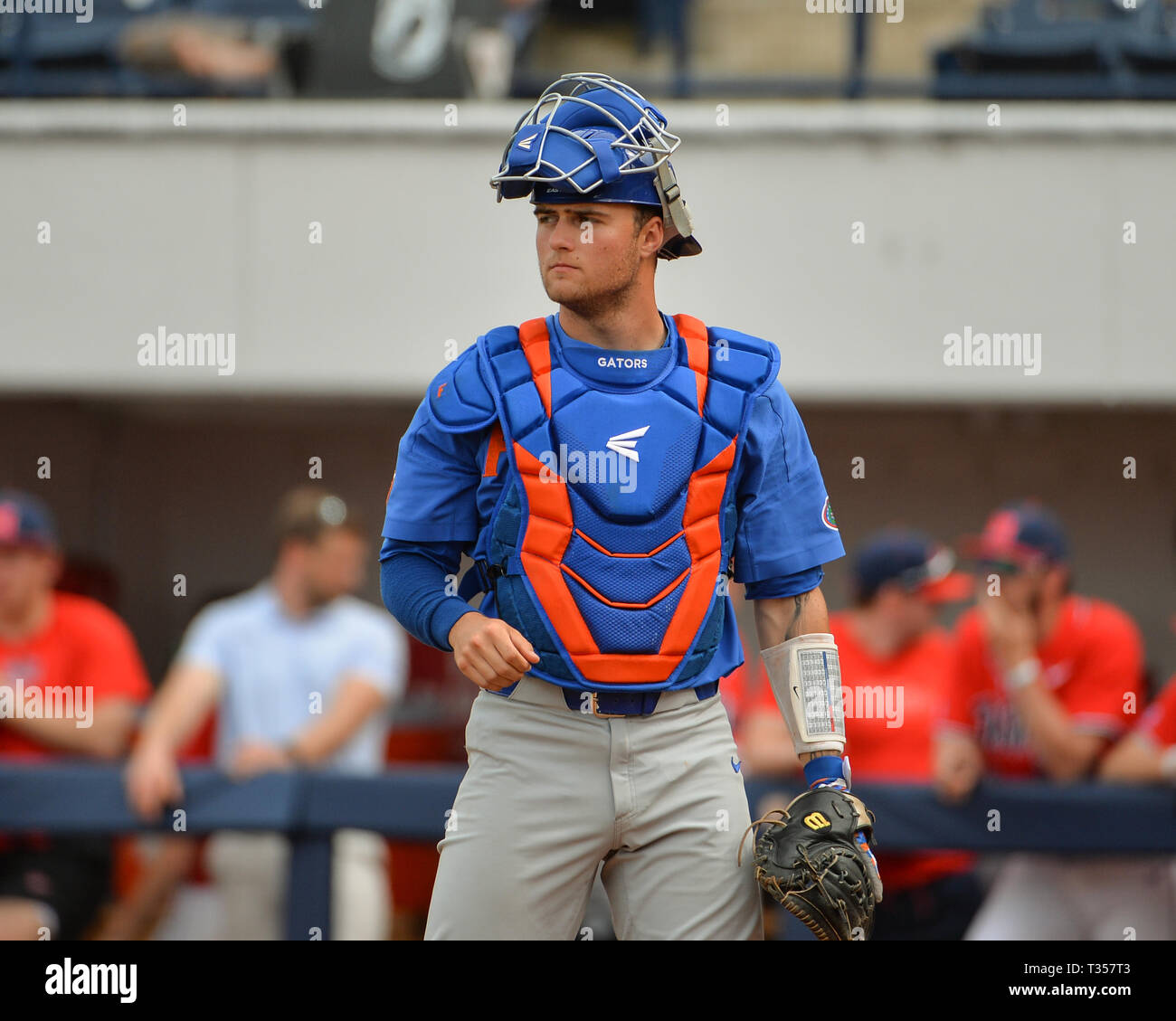 3,394 Florida Gators Baseball Stock Photos, High-Res Pictures, and