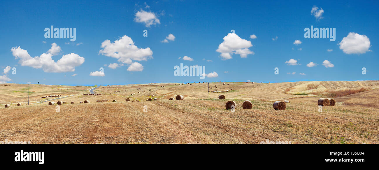 Beautiful landscape of Sicily summer countryside in Italy. Wheat field ...