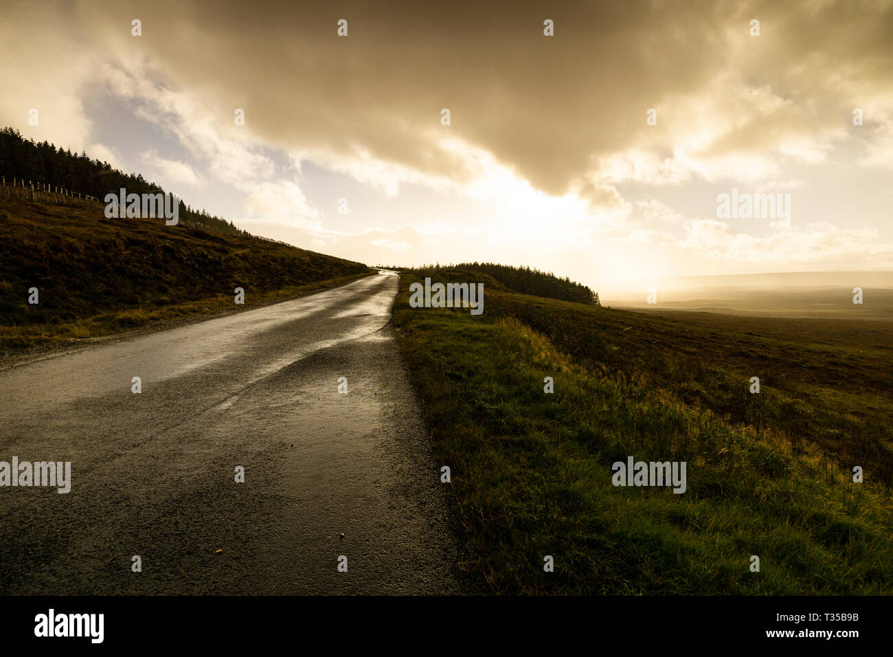 Rain drops, back-lit by the sun, fall on a rain-slicked road in northern Scotland. Stock Photo