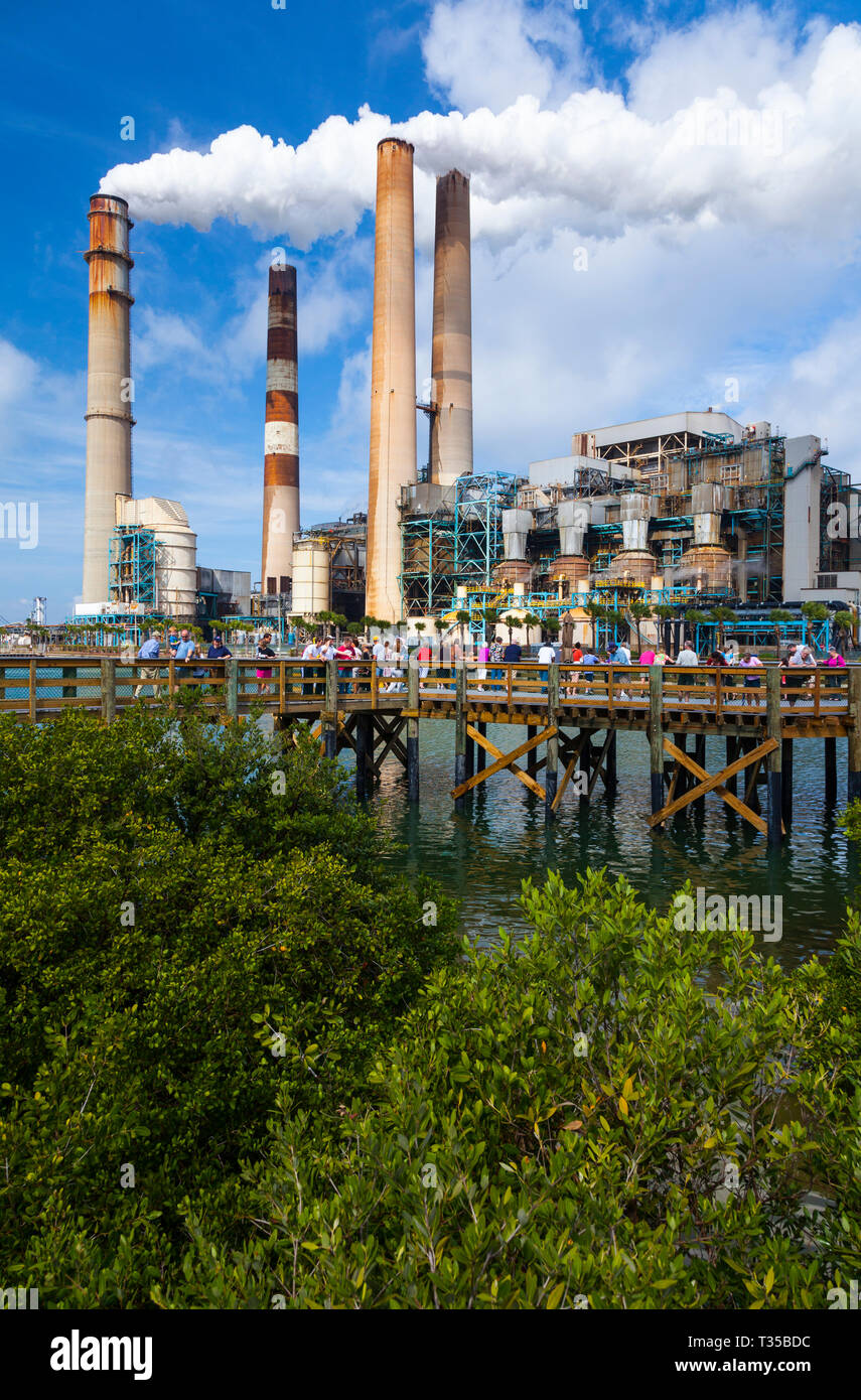 Manatee Viewing Center at Tampa Electric's Big Bend Power Station