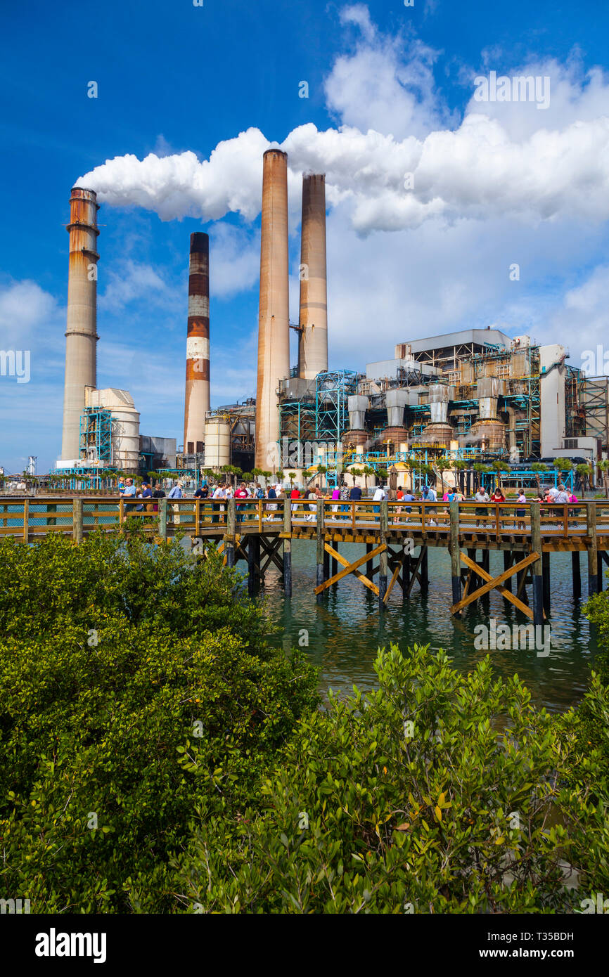 Manatee viewing center, Big Bend Power Station, Tampa Electric, Apollo