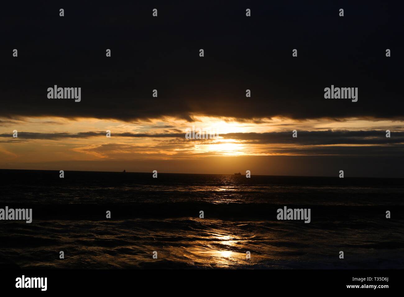Golden sunset on the beach Stock Photo - Alamy