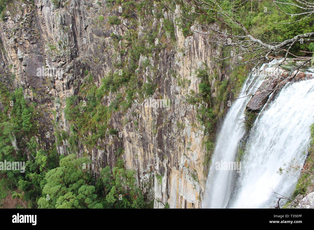 Minyon Falls, NSW Australia - 12/2/2016: Minyon falls, forests, pristine creeks spectacular waterfall Nightcap National Park. northern river stock Stock Photo