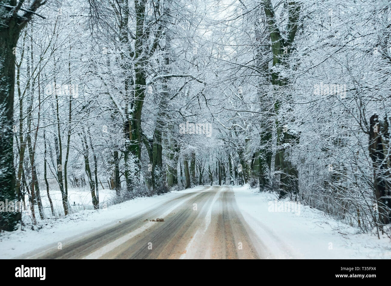 car track covered with snow, snow on the highway Stock Photo