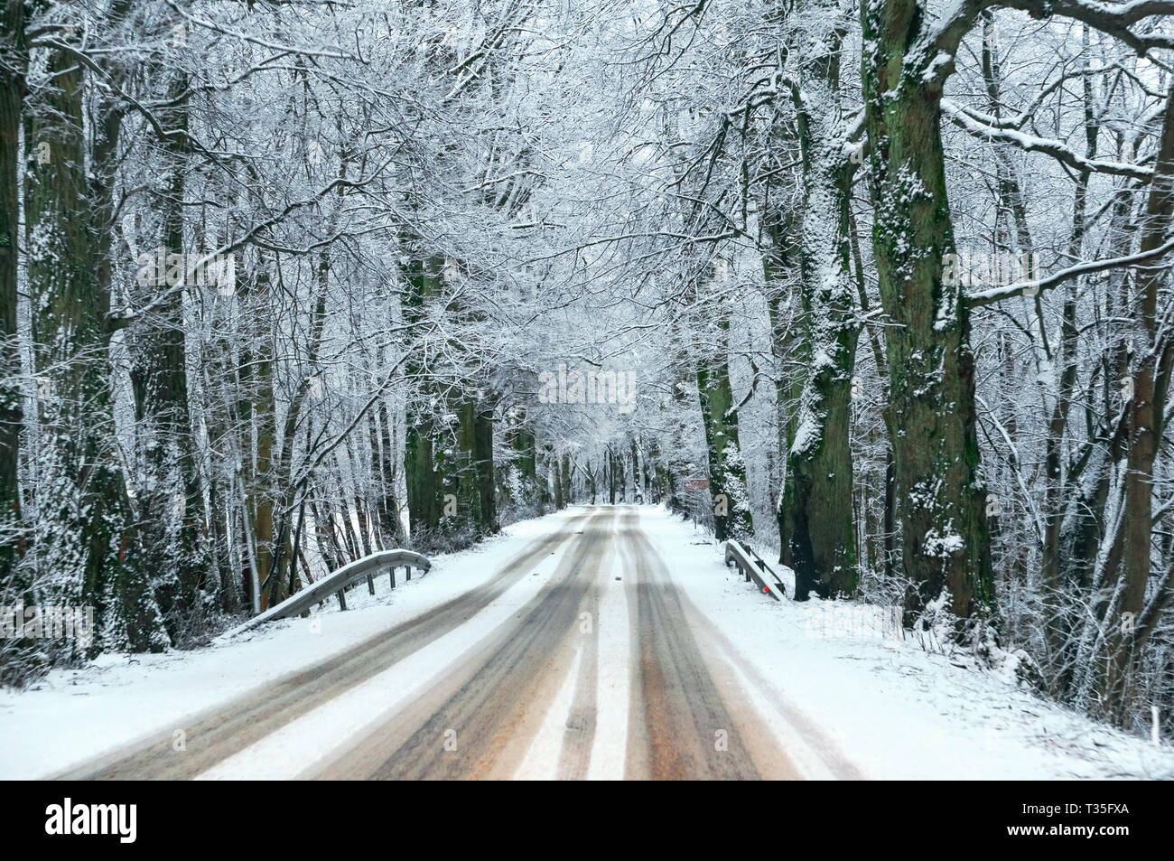 car track covered with snow, snow on the highway Stock Photo