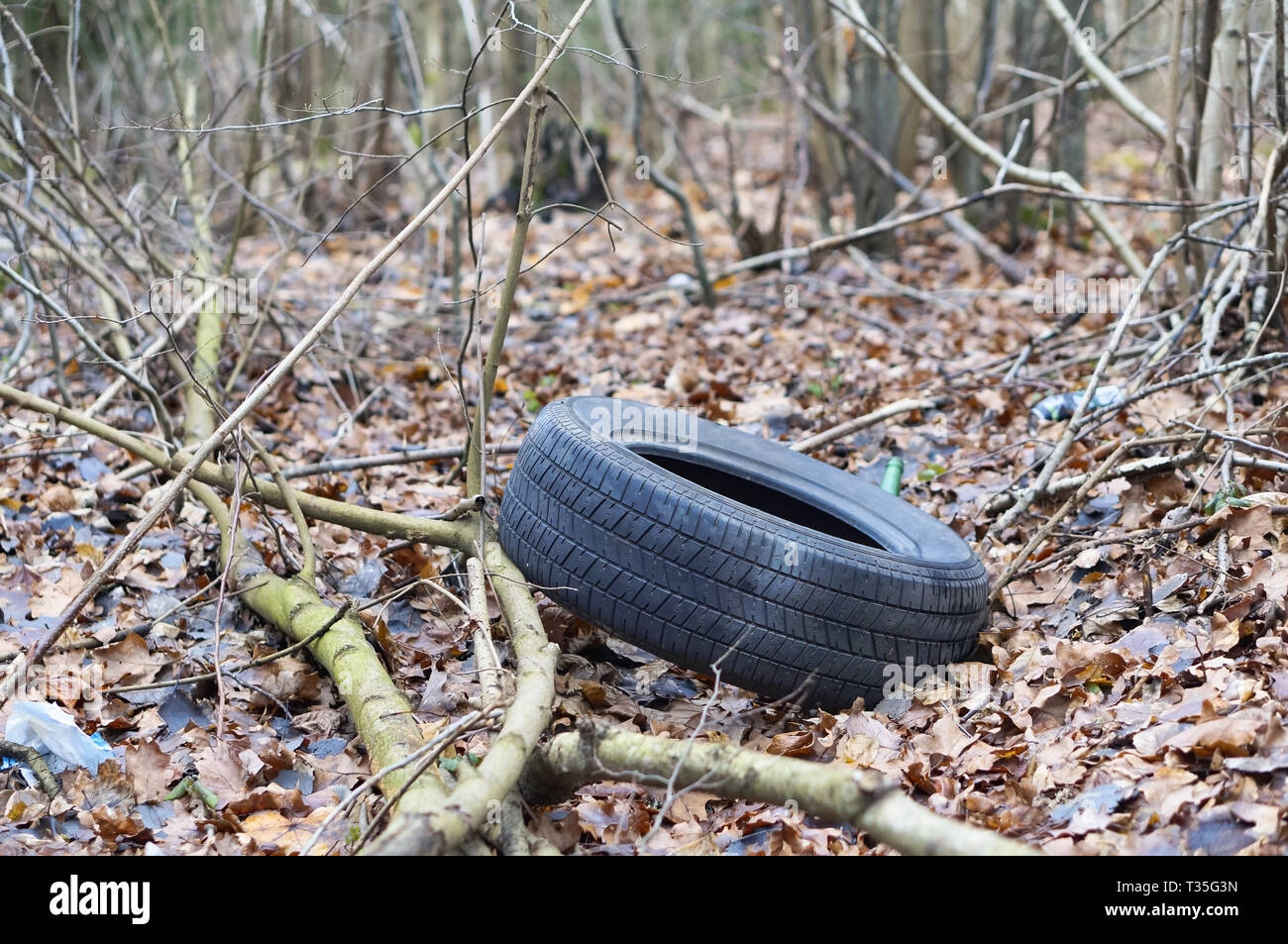 старые шины. выкинуть покрышки. свалка покрышек. старые покрышки. выбрасывают старые покрышки.
