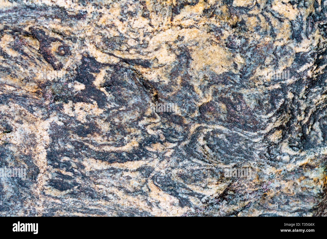 the background of sea stone, the texture of the stone Stock Photo