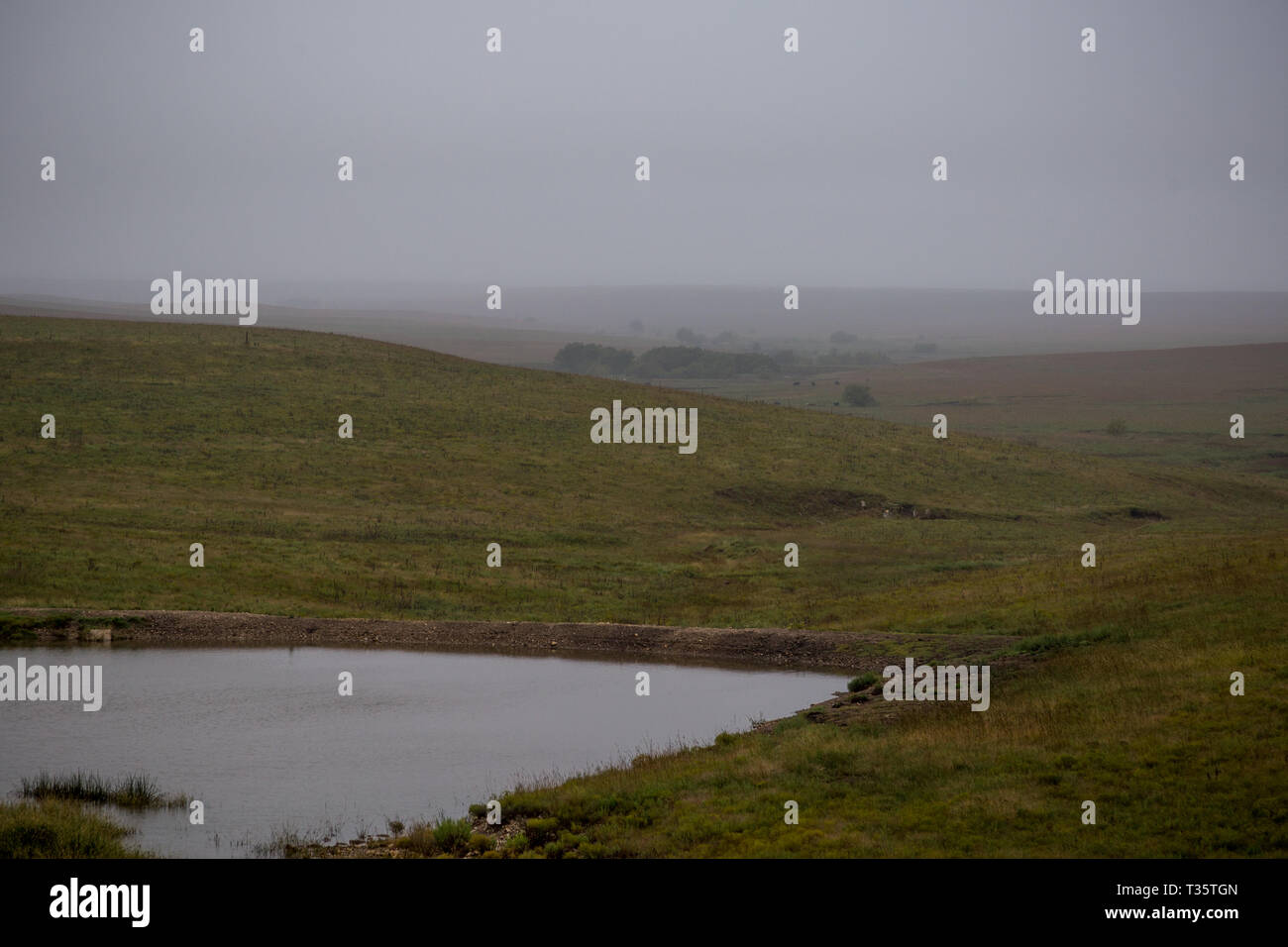 Bazaar cattle pens scenic turnoff hires stock photography and images