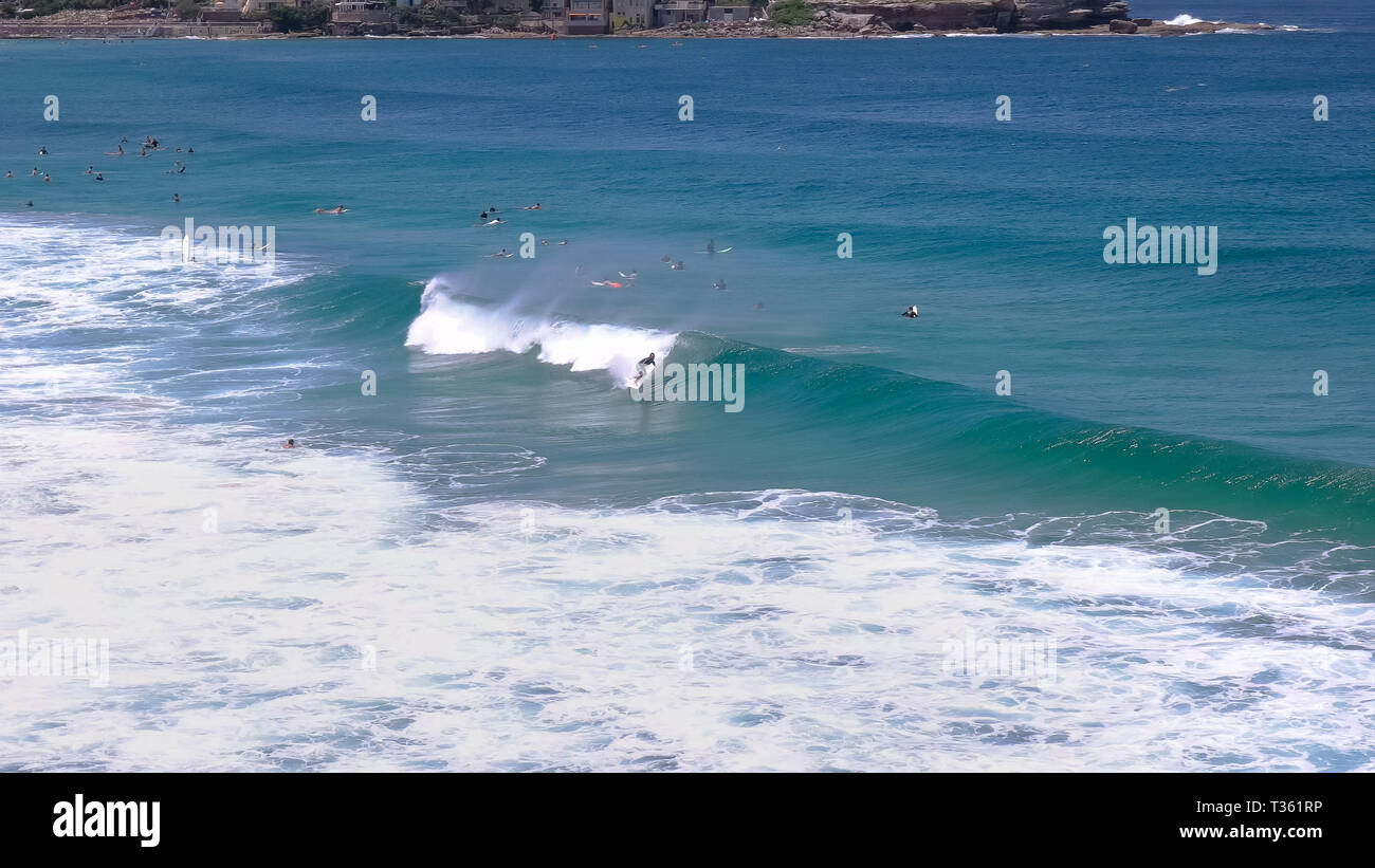 a surfer rides a wave at bondi beach, australia's famous beach Stock Photo