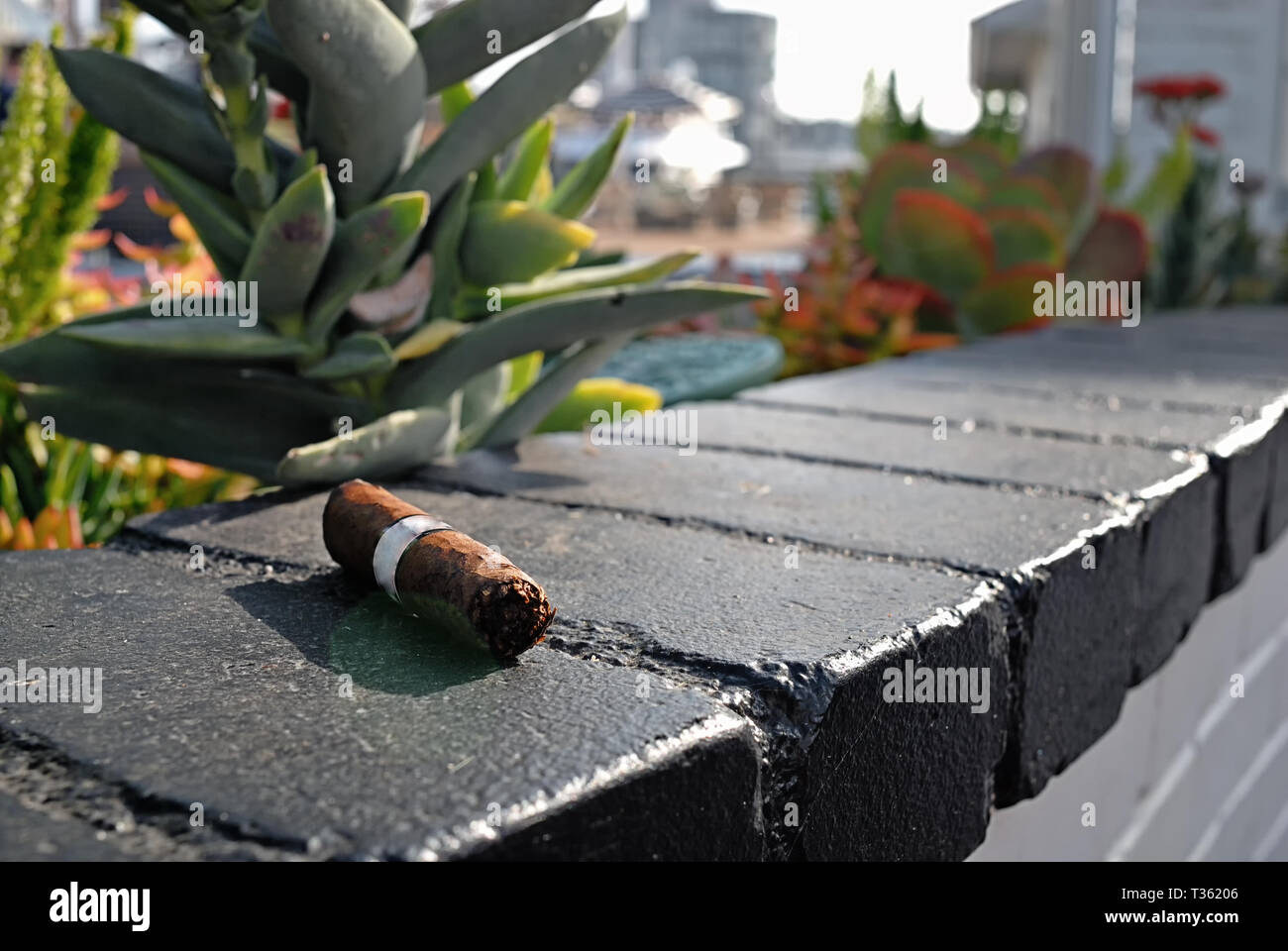 Cigar laying on top of a block wall the morning after. Stock Photo