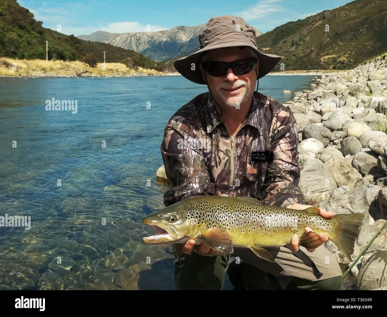Large brown trout hi-res stock photography and images - Alamy