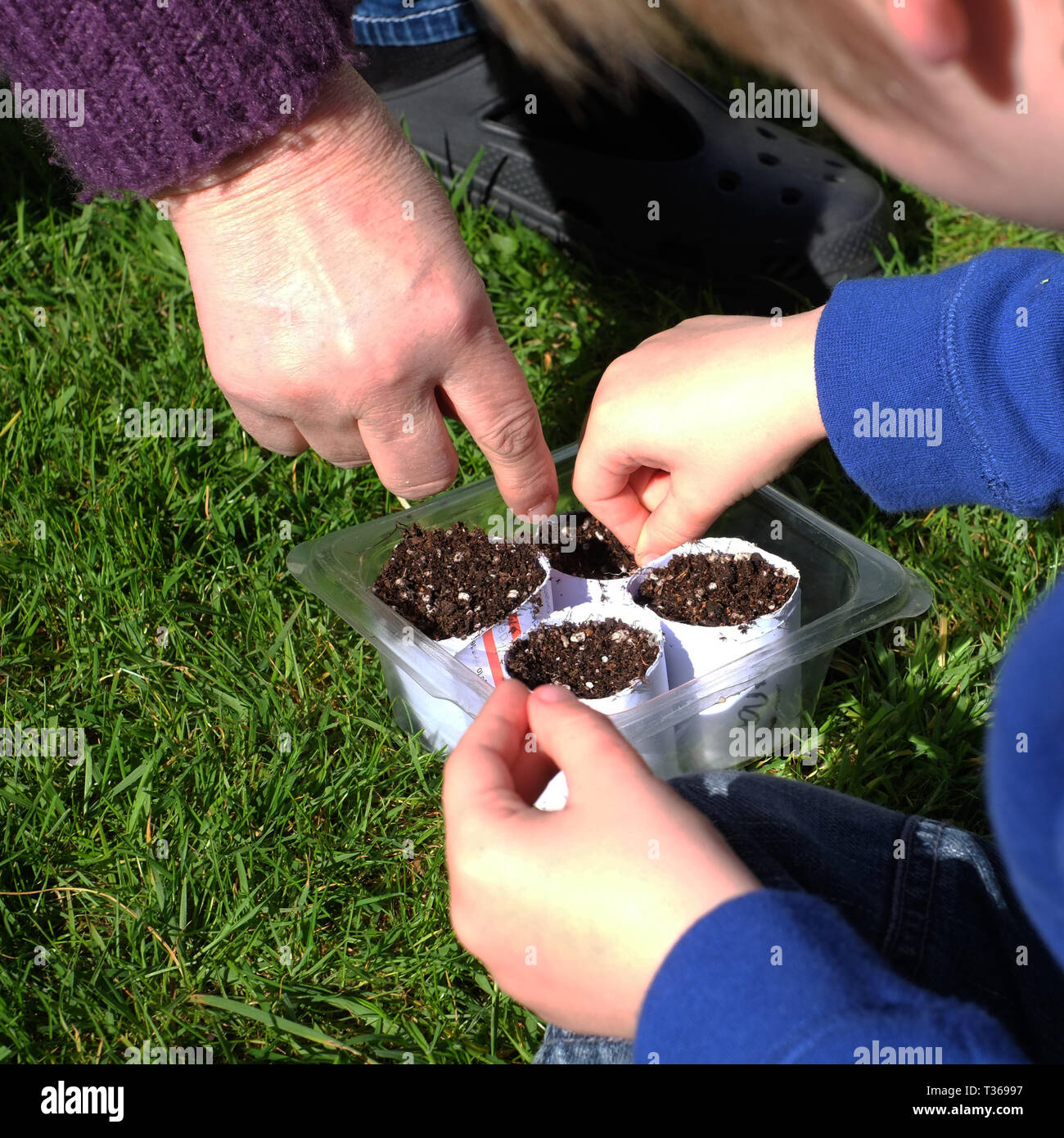 April 2019 - Young hands planting seeds with Grandmother Stock Photo