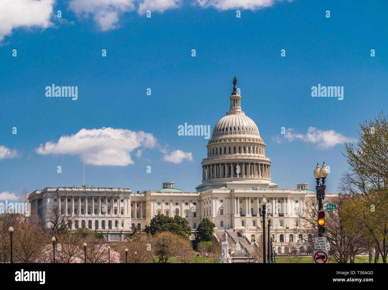 US Capitol Building among springtime tree blossoms Stock Photo