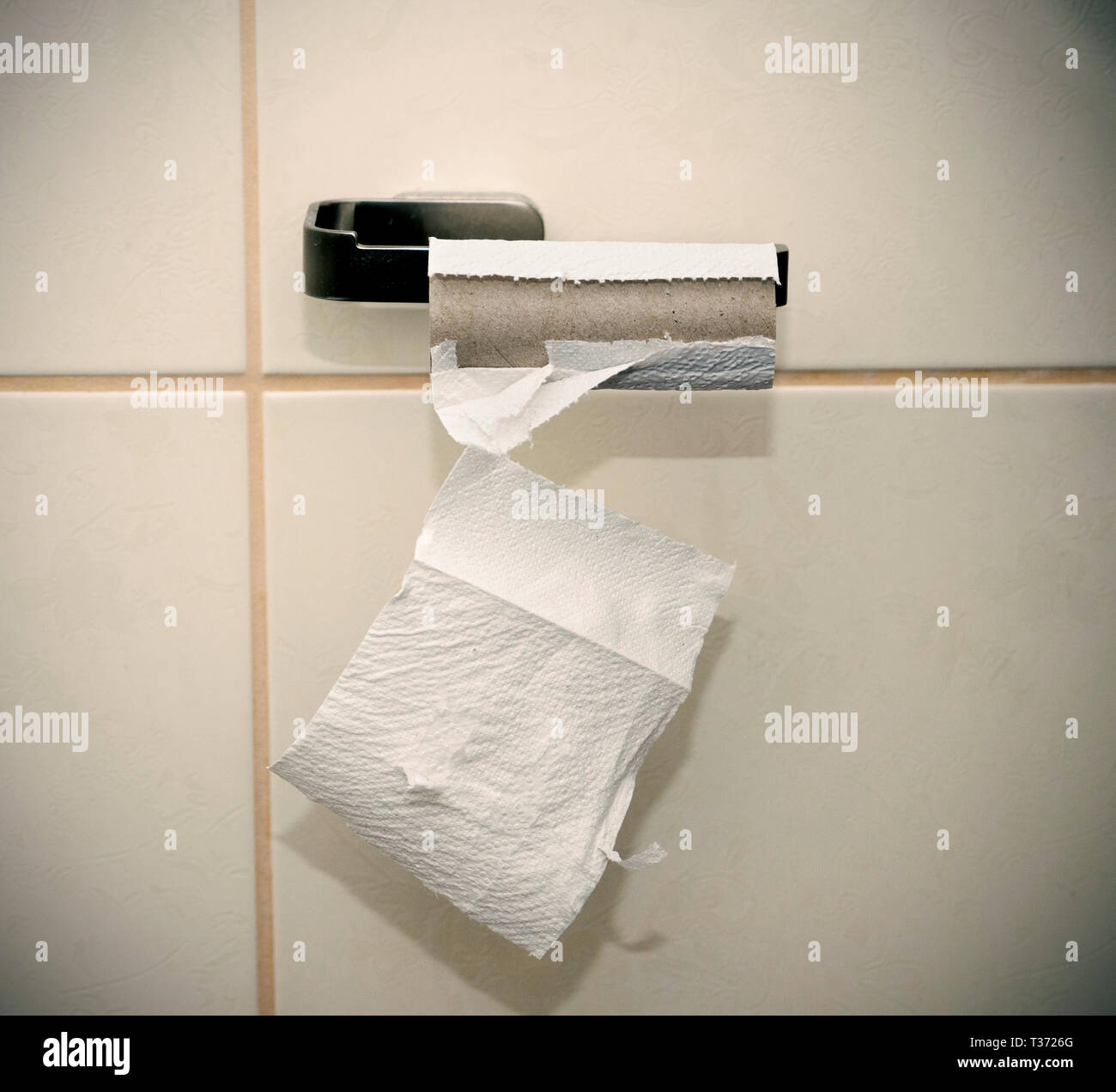 Empty loo roll Stock Photo