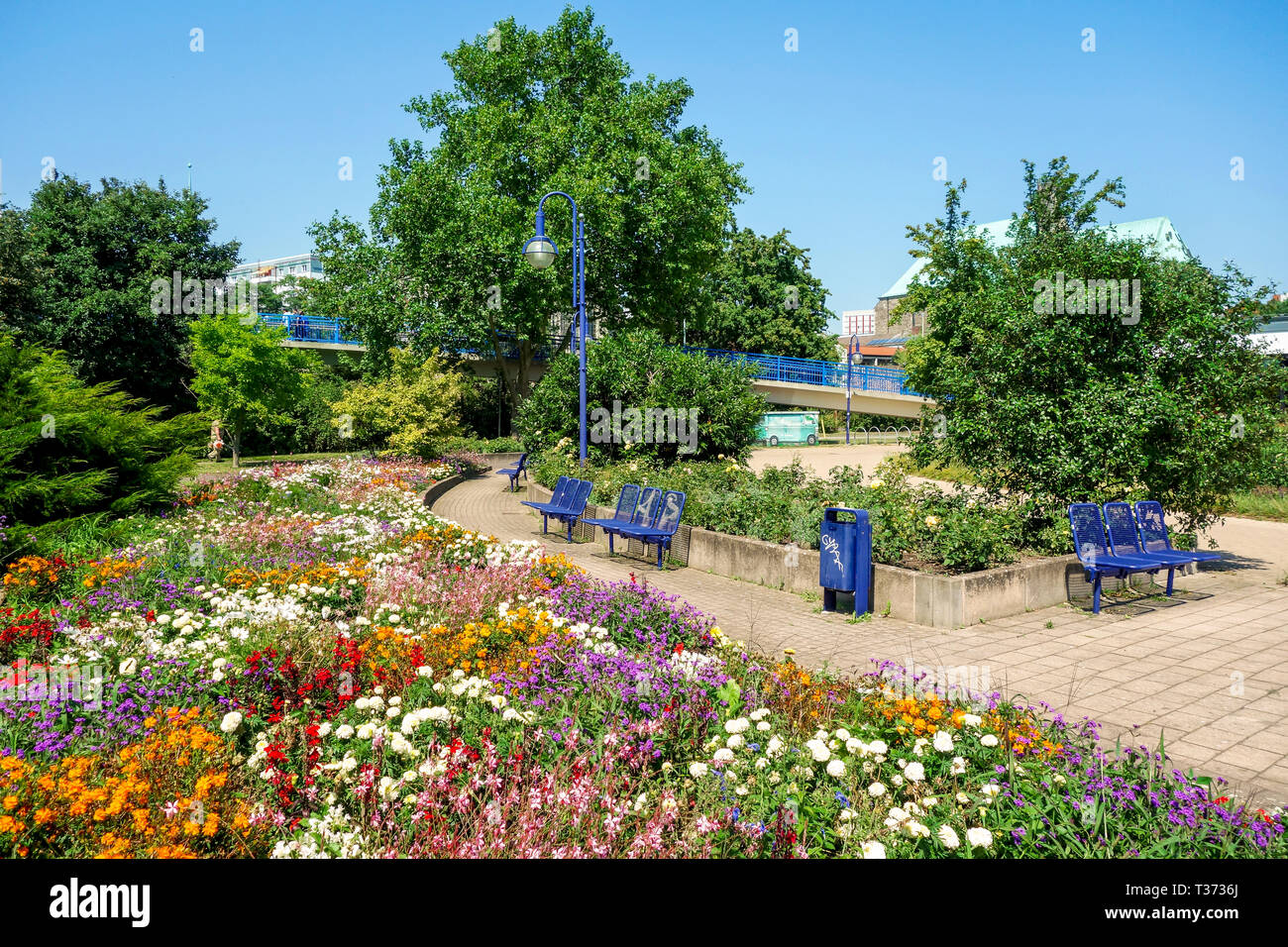 Lush flower beds in the summer garden. A bright sunny day Stock Photo ...